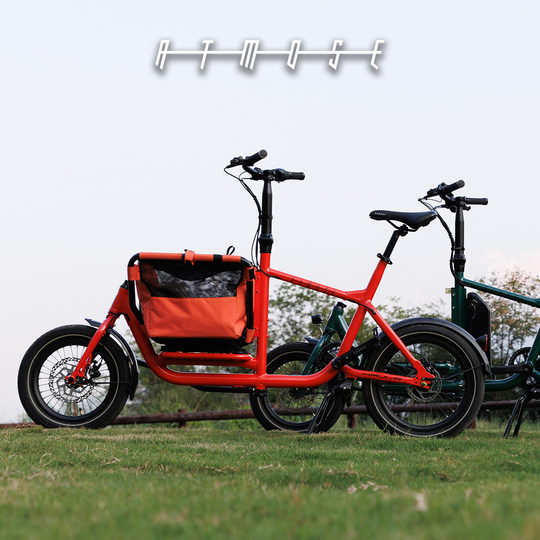 Cargo bike with pets as a stylish carrier