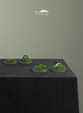 天青苔绿 现代新中式永生苔藓小摆件 样板间茶室茶桌边几桌面软装