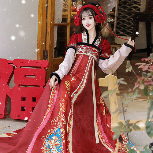 陌南尘_驰岁 原创齐胸襦裙汉服女2025新款秋冬季加厚斗篷唐制古装 - 图1