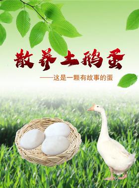 鹅蛋海报散养土鹅蛋出售鸭蛋咸蛋鹅蛋出售散养鹅柴鸡鹅蛋柴鸡蛋
