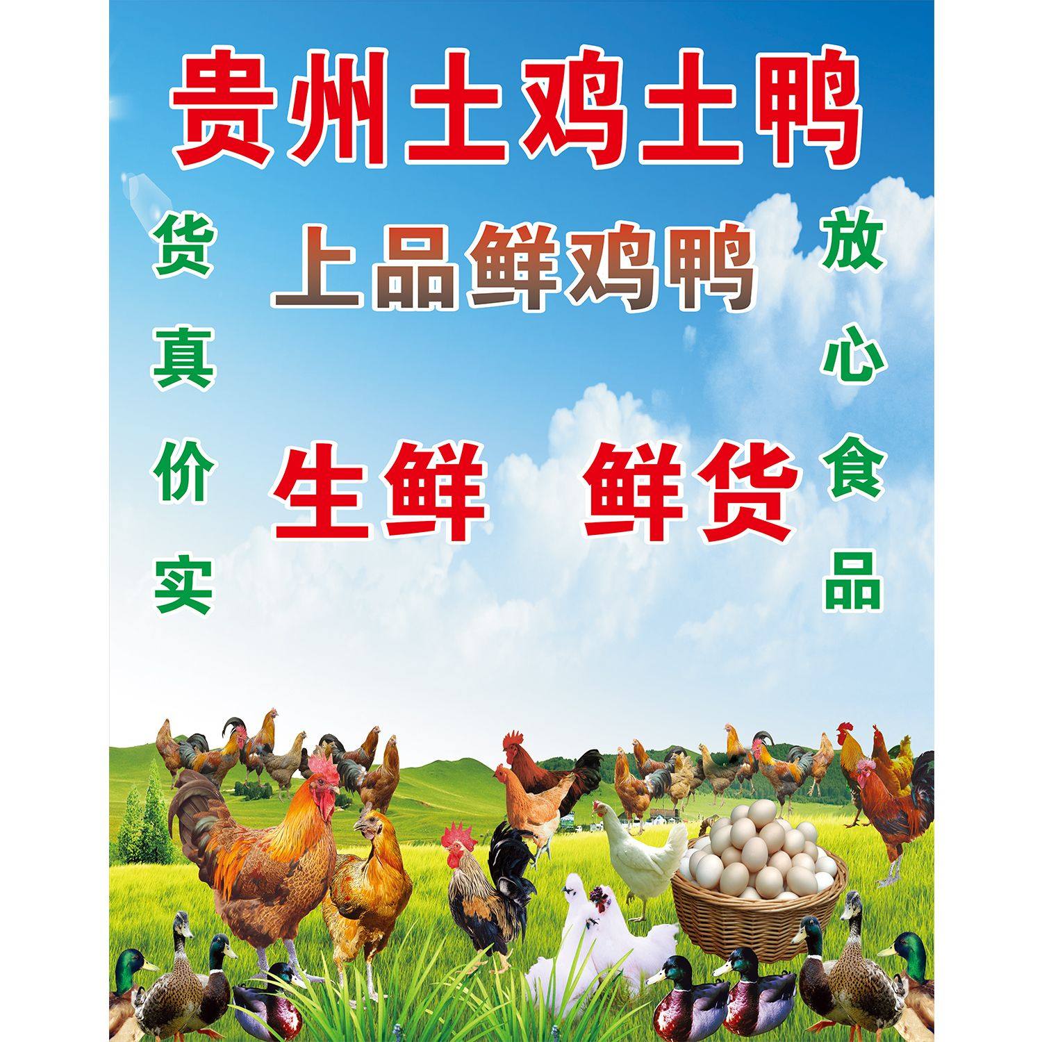 土鸡土鸭鸡蛋宣传画超市出售家禽店铺装饰背景墙画鸡肉分割图贴纸,淘宝优惠券,粉丝福利购,淘宝优惠卷