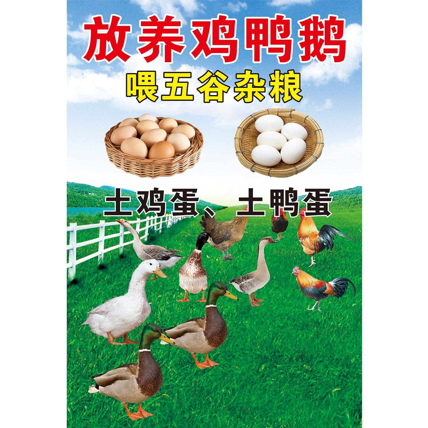 土鸡土鸭鸡蛋宣传画超市出售家禽店铺装饰背景墙画鸡肉分割图贴纸,淘宝优惠券,粉丝福利购,淘宝优惠卷