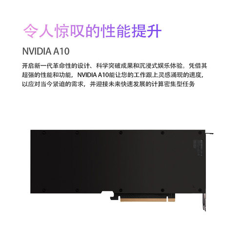 英伟达（NVIDIA） A10 24GB 安培架构 光线追踪显卡 专业运算卡 - 图2