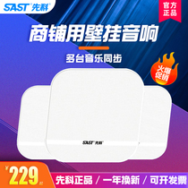 SAST chenko C10 wireless Bluetooth sound suction top suspended ceiling suspended commercial 3D surround horn speaker