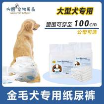 Golden Hair Special Mother Dog Aunt God Instrumental Physiology Pants Large Canine Dog Urine Not Wet Ladypants Pet Paper Diaper