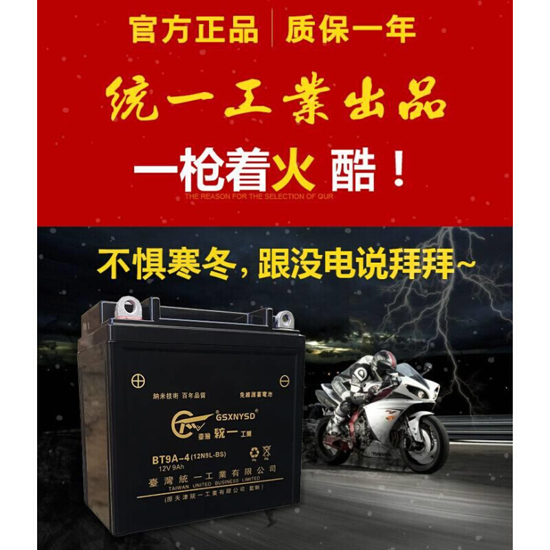 2统7952一男跨骑摩托太车电瓶子12V9ah三轮车125用12N9L维免通护 - 图1