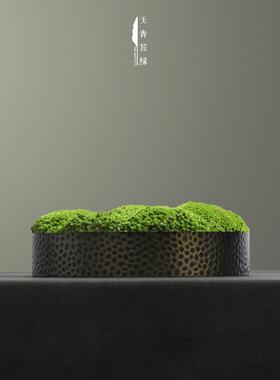 天青苔绿 新中式现代金属锤纹花器永生苔藓 茶室会所茶几桌面摆件