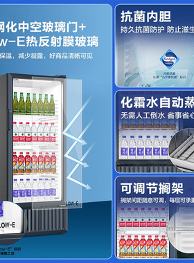 海尔一级冷藏保鲜饮料柜