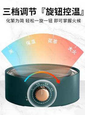 德国电热炉家用电茶炉小型煮茶电炉咖啡加热炉调温泡茶器电热炉