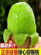 Xu Fragrant Green Heart Macaque Peach Fresh Fruit 5 Catties When Season Full Box Fruit Gift Box Pregnant Woman Chisomot Macaque Peach