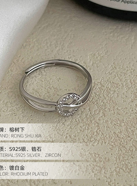高级感S925银轻奢满钻圆环戒指女