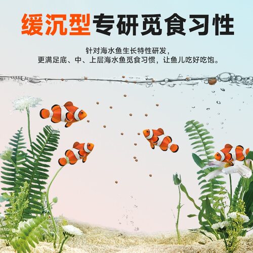 yee小丑鱼饲料海水鱼鱼粮海鱼蓝吊鱼食小颗粒荤素吊类缓沉鱼饲料 - 图2