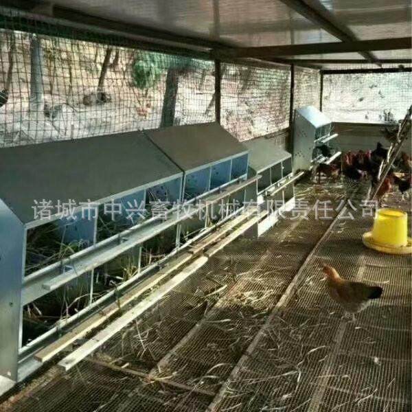 12穴散养鸡产蛋箱鸡蛋干净卫生种鸡场蛋箱不生锈可外挂鸡窝,淘宝优惠券,粉丝福利购,淘宝优惠卷