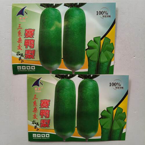 赛鸭梨脆甜水果萝卜种子高产抗病耐热耐寒农家菜园种植蔬菜种子籽 - 图2