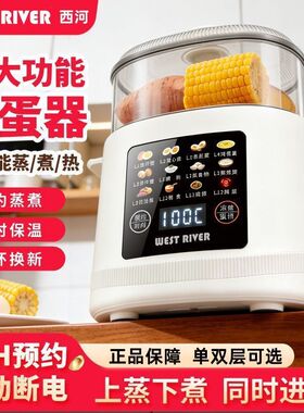 蒸蛋器自动断电家用2026新款煮蛋器多功能预约早餐宝宝煮鸡蛋神器