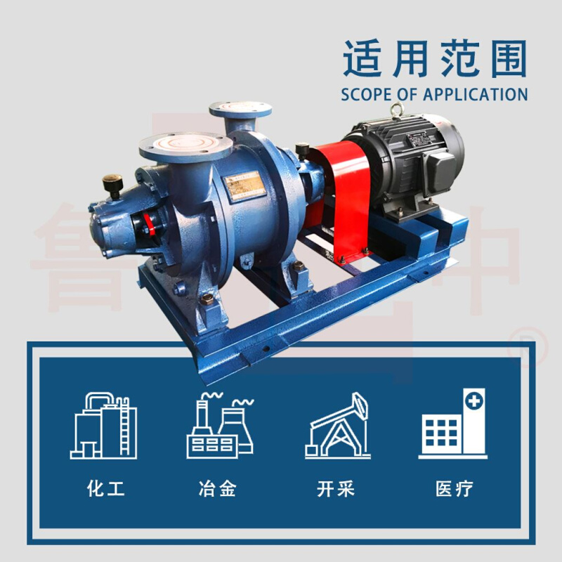 6-水环式真空泵品质值得信赖应用广泛 - 图0