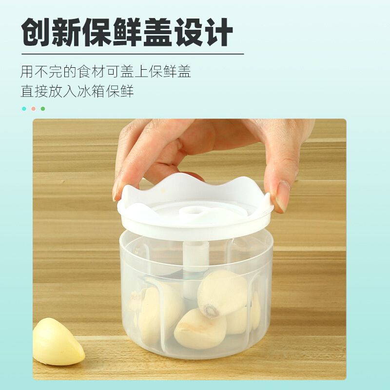 爱士顿厂价USB电动PE料理机电动打蒜打肉器蒜泥器 - 图1