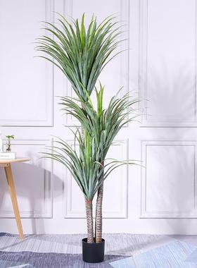 北欧现代仿真植物盆栽剑兰龙血树大型仿真树居家客厅落地摆件装饰