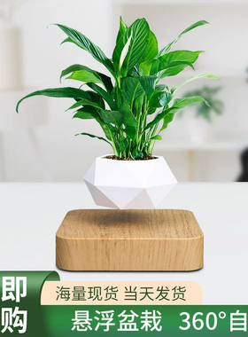 创意反重力盆栽磁悬浮摆件高级感小众多肉盆景办公桌桌面装饰品