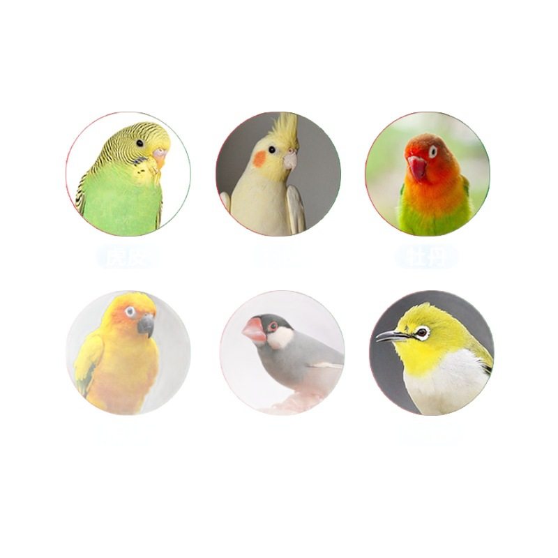 鹦鹉沙锤玩具解闷自嗨小铃铛虎皮玄凤牡丹足部抓握啃咬逗小鸟神器,淘宝优惠券,粉丝福利购,淘宝优惠卷