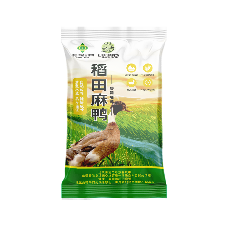 Yunling Freshly Killed Two Year Old Duck Shelduck Fresh