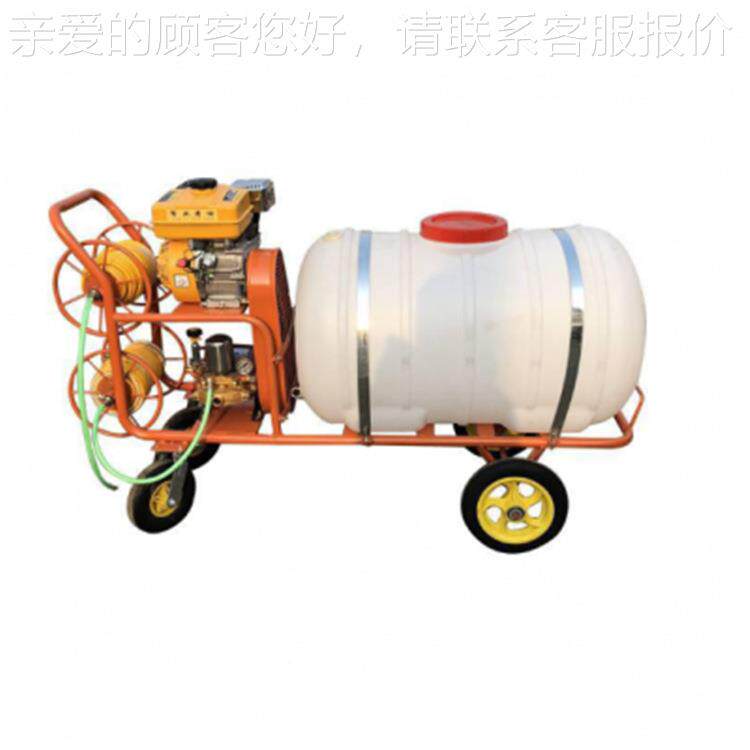 道路清洗高压喷机 农用四冲程CT-890汽油打林药雾消毒雾机 园高压 - 图3