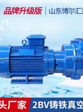 真空泵2BV2060水环式真空泵2BV铸铁真空抽气泵机电设备淄博