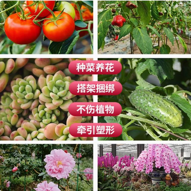 园艺扎带绑花扎带 园艺铁丝绑扎神器 月季爬藤植物固定器卡扣架绳 - 图1