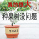 Resin classical imitation purple sand flower pot extra large