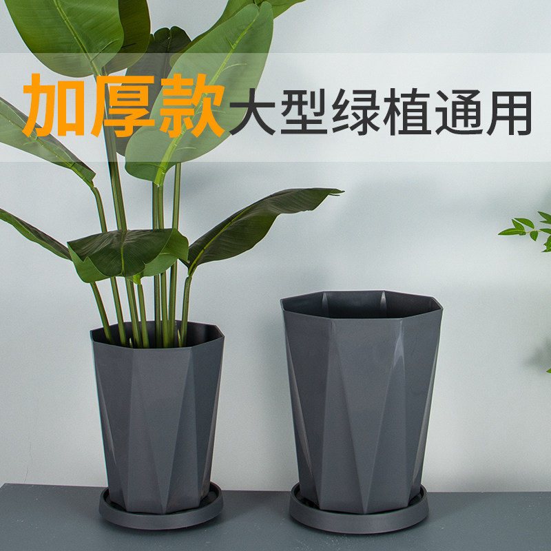 天堂鸟大口径树脂花盆塑料加厚散尾葵发财树专用绿植家用阳台花盆,淘宝优惠券,粉丝福利购,淘宝优惠卷