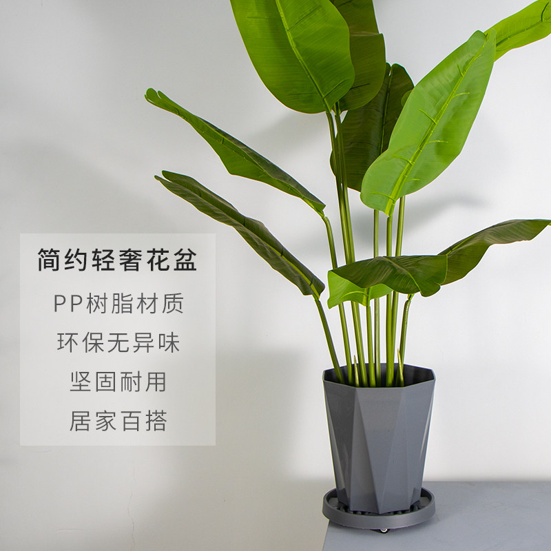 天堂鸟大口径树脂花盆塑料加厚散尾葵发财树专用绿植家用阳台花盆,淘宝优惠券,粉丝福利购,淘宝优惠卷
