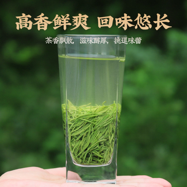 三架山2024新茶毛尖茶叶信阳毛尖绿茶雨前高山嫩芽浓香型250g散装