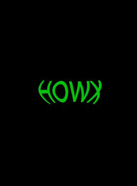 HOWX好诶 · 小众手作饰品/许愿池～