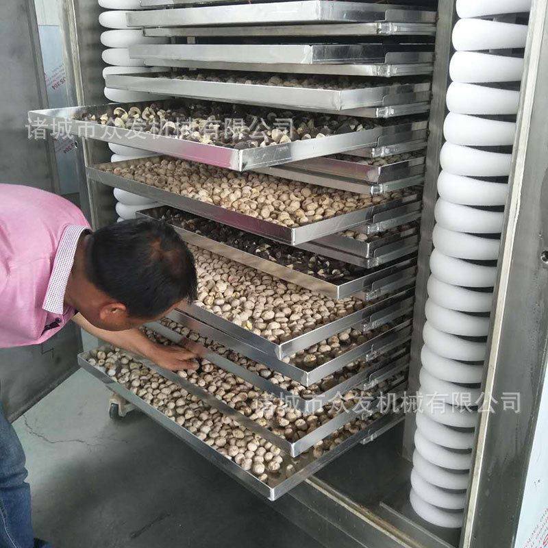 厂家热销 蔬菜水果冻干机 杨桃干枸杞低温干燥设备 大枣冻干机,淘宝优惠券,粉丝福利购,淘宝优惠卷