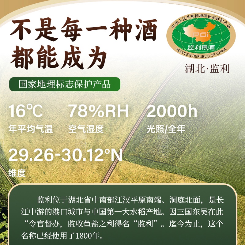 监利粮酒糯米白酒散酒纯粮酿造50度高白酒纯粮糯米酒4.5L装9斤/瓶 - 图0