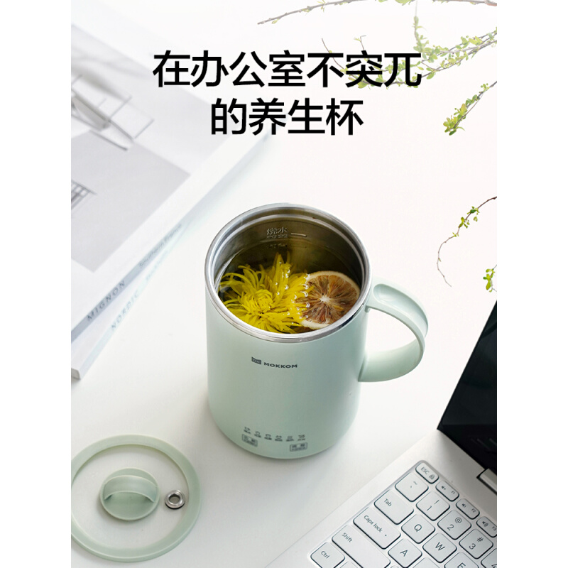 养生杯壶多功能办公室烧水杯泡花茶煮粥做甜品炖煮迷你养生壶 - 图2