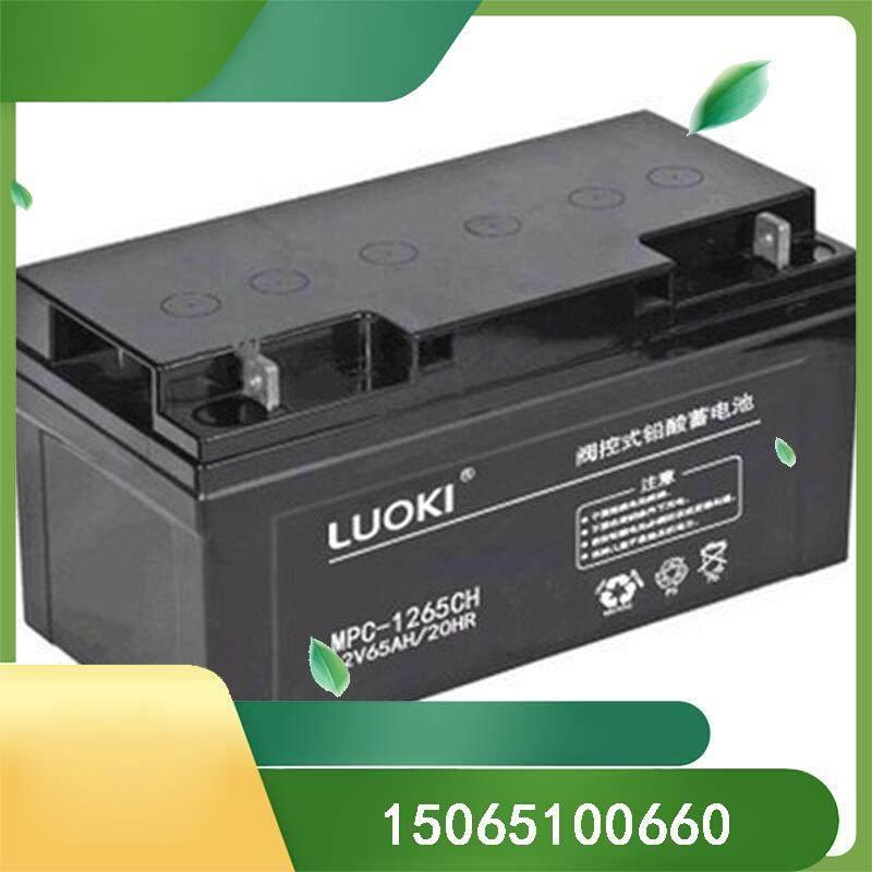 LUOKI洛奇MPC-12-200蓄电池MPC-1265CH12V200AH100AH65AH38AH24AH - 图3