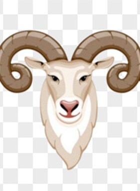 厂家直销 动物头骨 山羊头骨挂件D 客厅书房酒吧餐厅墙壁装饰挂件