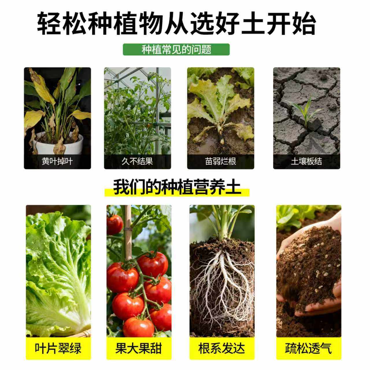 营养土养花通用专用有机种菜土疏松透气轻质土阳台花土土壤种植土,淘宝优惠券,粉丝福利购,淘宝优惠卷