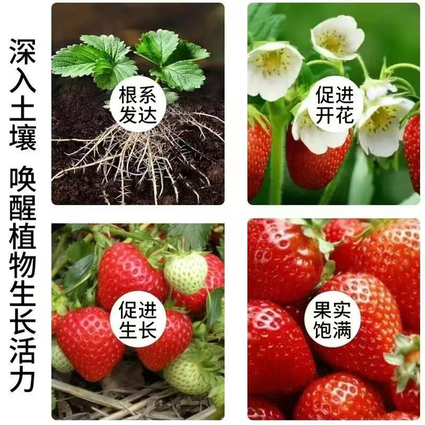 草莓专用肥料颗粒复合肥农用蔬菜水果膨大增甜缓释型通用肥料底肥,淘宝优惠券,粉丝福利购,淘宝优惠卷