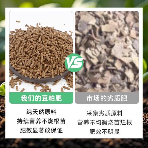 发酵豆粕有机肥家用菜园专用肥通用花卉盆栽蔬菜植物农家肥颗粒肥 - 图1