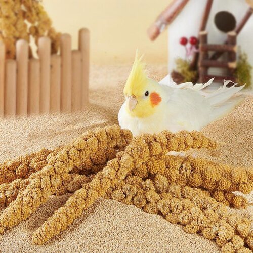 鹦鹉天然谷穗带壳黄谷子小米玄凤虎皮饲料鸟粮鸟食文鸟珍珠鸟零食 - 图0