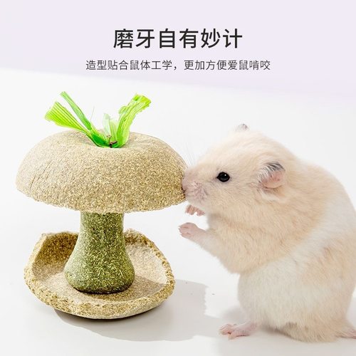 仓鼠粮食苹果核磨牙棒金丝熊解闷营养小零食磨牙玩具造景用品大全 - 图1