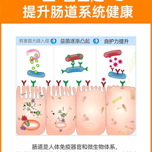 仁和驼乳复合益生菌成年儿童大人搭调理肠胃冻干粉官方旗舰店 - 图1