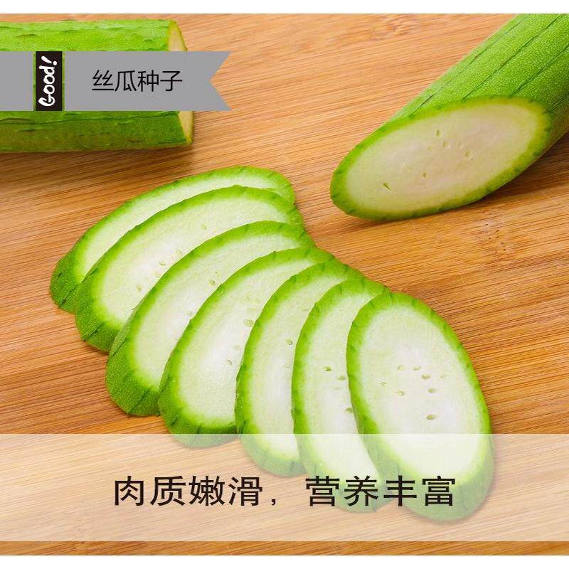 高产肉丝瓜苗秧春夏秋季短把丝瓜籽农家庭院爬藤香丝瓜子蔬菜菜种,淘宝优惠券,粉丝福利购,淘宝优惠卷