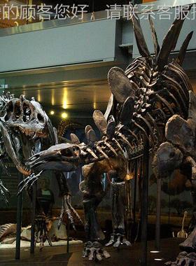 大仿真恐龙化玻璃钢型骨骼化石恐龙真骨75233架摆件橱窗博物馆商
