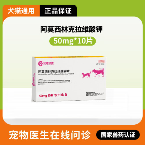 猫咪狗狗打喷嚏感冒咳嗽猫鼻支阿莫西林克拉维酸钾宠物速消炎药诺 - 图2