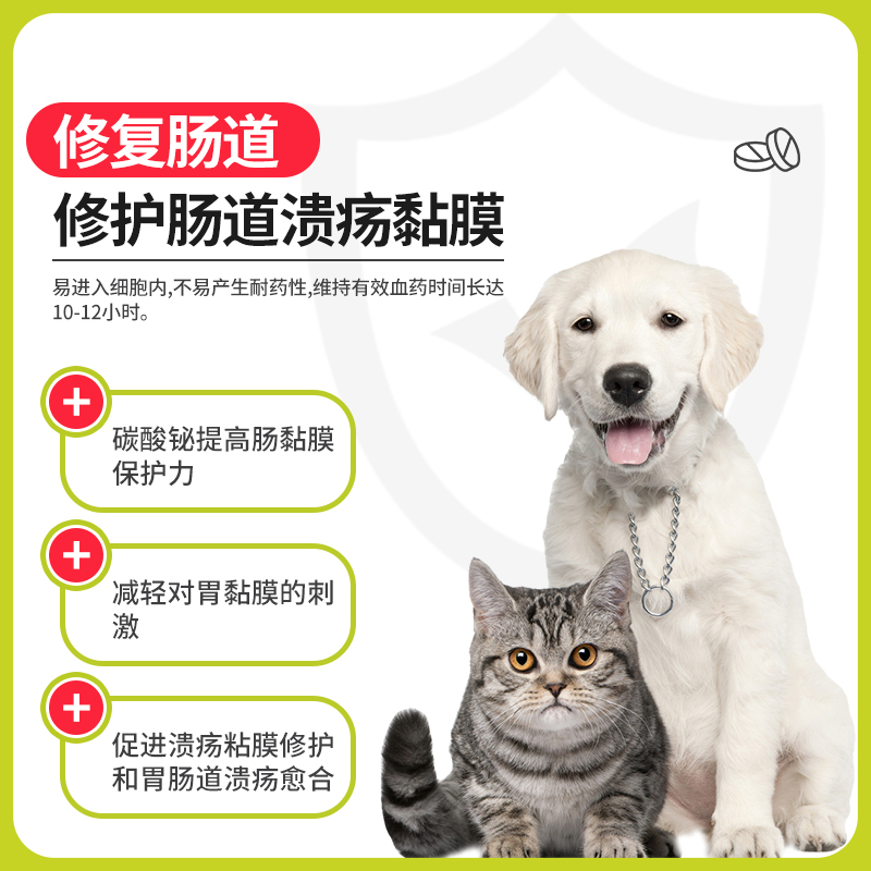 狗狗肠胃炎症药猫咪拉稀腹泻停肠胃调理治疗宠物犬软便血呕吐止泻 - 图1