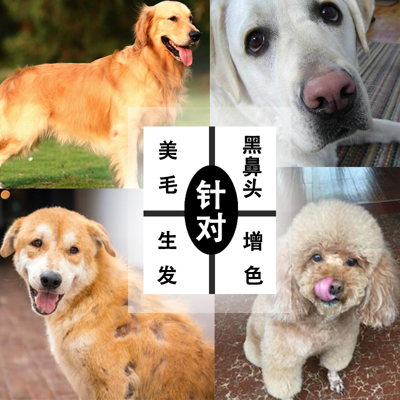 现货狗狗海藻粉宠物美毛粉金毛黑鼻头猫咪爆毛粉泰迪幼犬比熊通用 - 图2