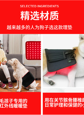 宠物红光红外线理疗热敷光疗垫